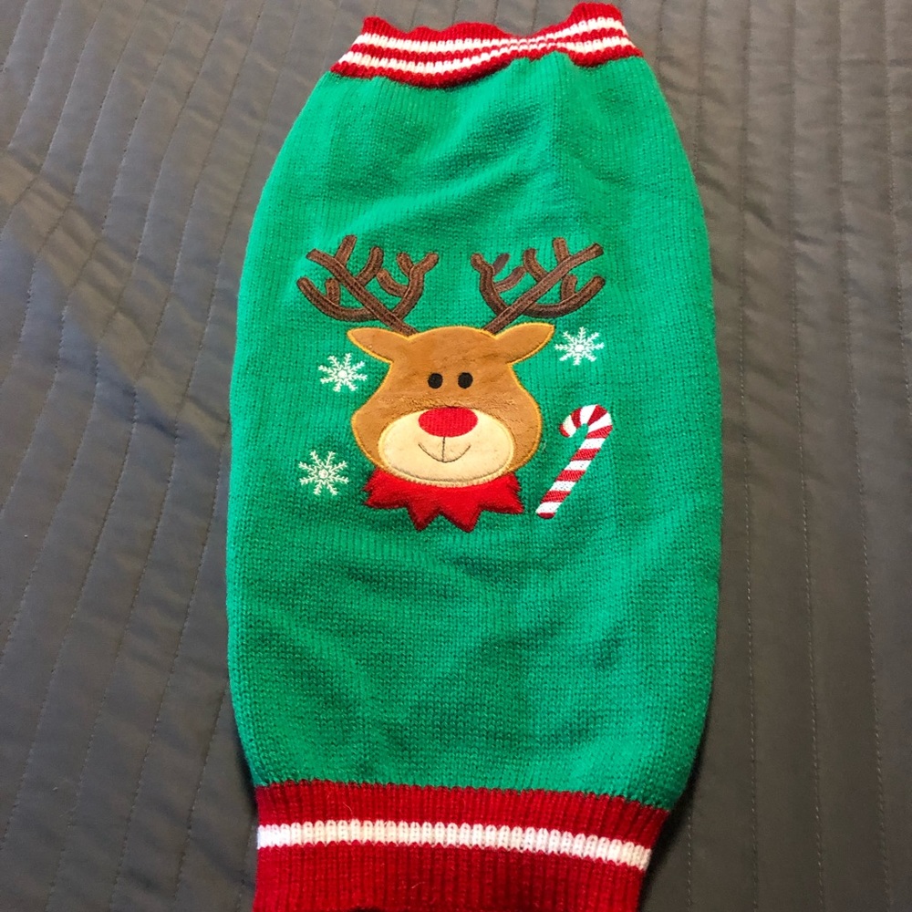 Ugly Christmas doggie sweater.